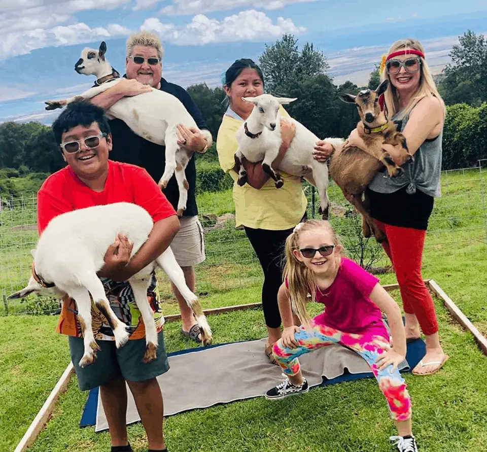 Maui Goat Yoga