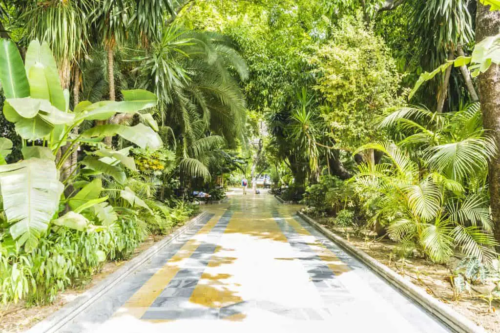 lush summer gardens in Marbella, Andalucia Spain