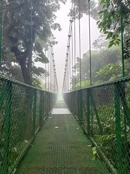 suspended bridge