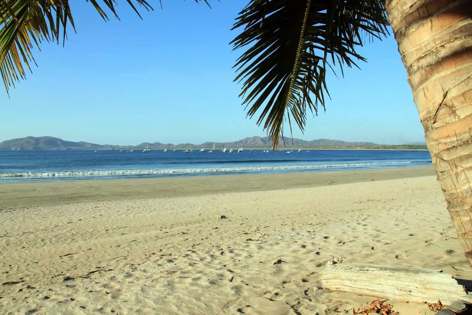 The 10 Best Things To Do in Tamarindo, Costa Rica